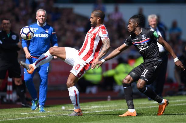 眼的明星 眼的明星